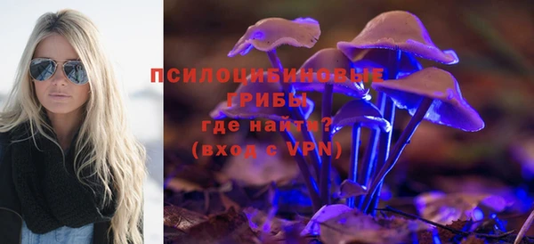 прущая мука Пестово