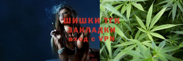 тгк Пересвет