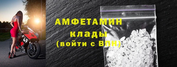 тгк Пересвет