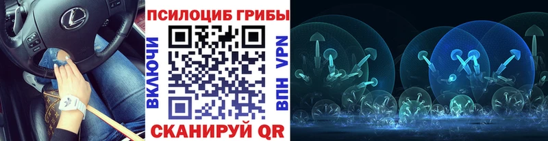 Галлюциногенные грибы прущие грибы  Юхнов 