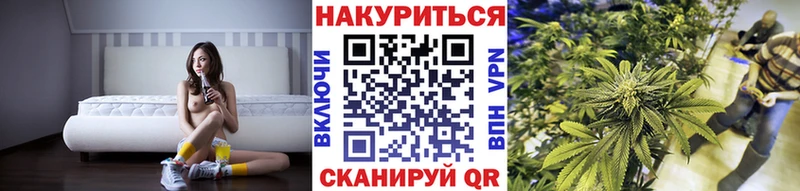 как найти закладки  Юхнов  Бошки марихуана семена 